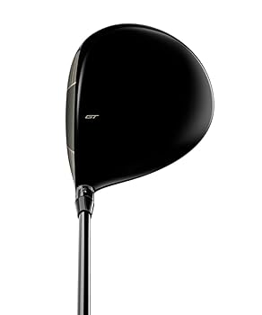 Amazon.co.jp: タイトリスト ゴルフ GT2 ドライバー Project X